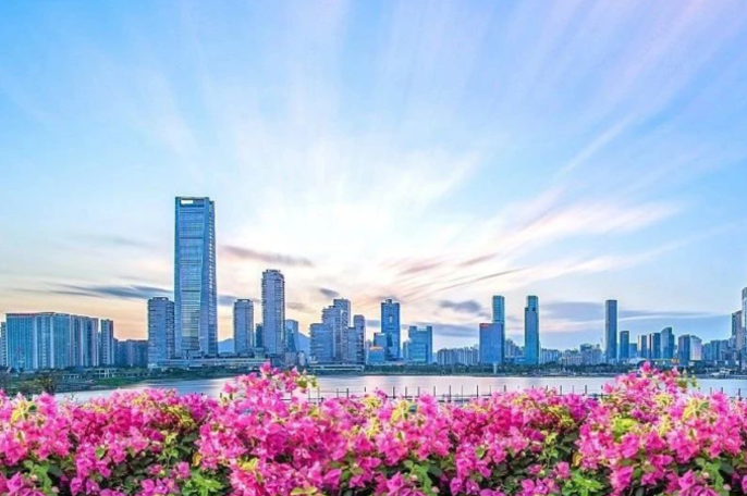 为什么又是深圳？