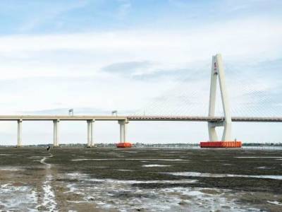 沿海岸线绵延超30公里，湛江发现更大片濒危海草床