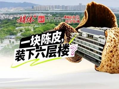 视频丨一块陈皮，能“装”下多少新会故事？