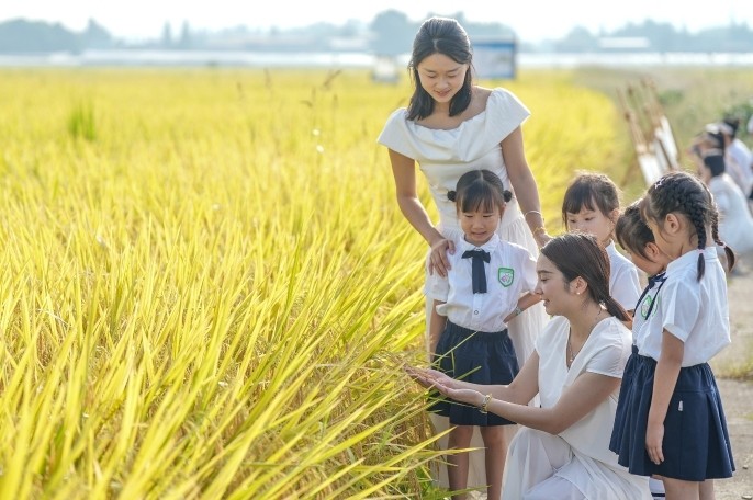 孩子写作业先问AI，“不会管、管不了”亟待正视