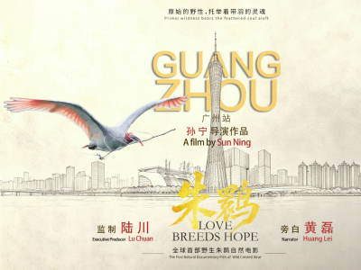 自然电影《朱鹮》广州首映，公益放映共赴自然之约