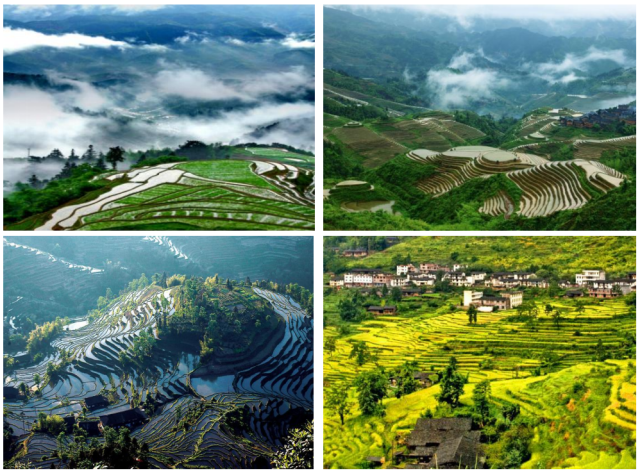 中国南方稻作梯田（含福建尤溪联合梯田、江西崇义客家梯田、湖南新化紫鹊界梯田、广西龙胜龙脊梯田）。