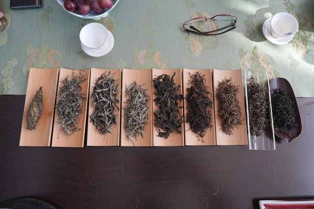 普安红茶、贵州绿茶、工艺白茶、非遗“布依福娘茶”等产品,以不同的口感吸引细分客群。 普安红茶、贵州绿茶、工艺白茶、非遗“布依福娘茶”等产品,以不同的口感吸引细分客群。