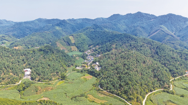 八渡笋基地（航拍）。赵文朝摄