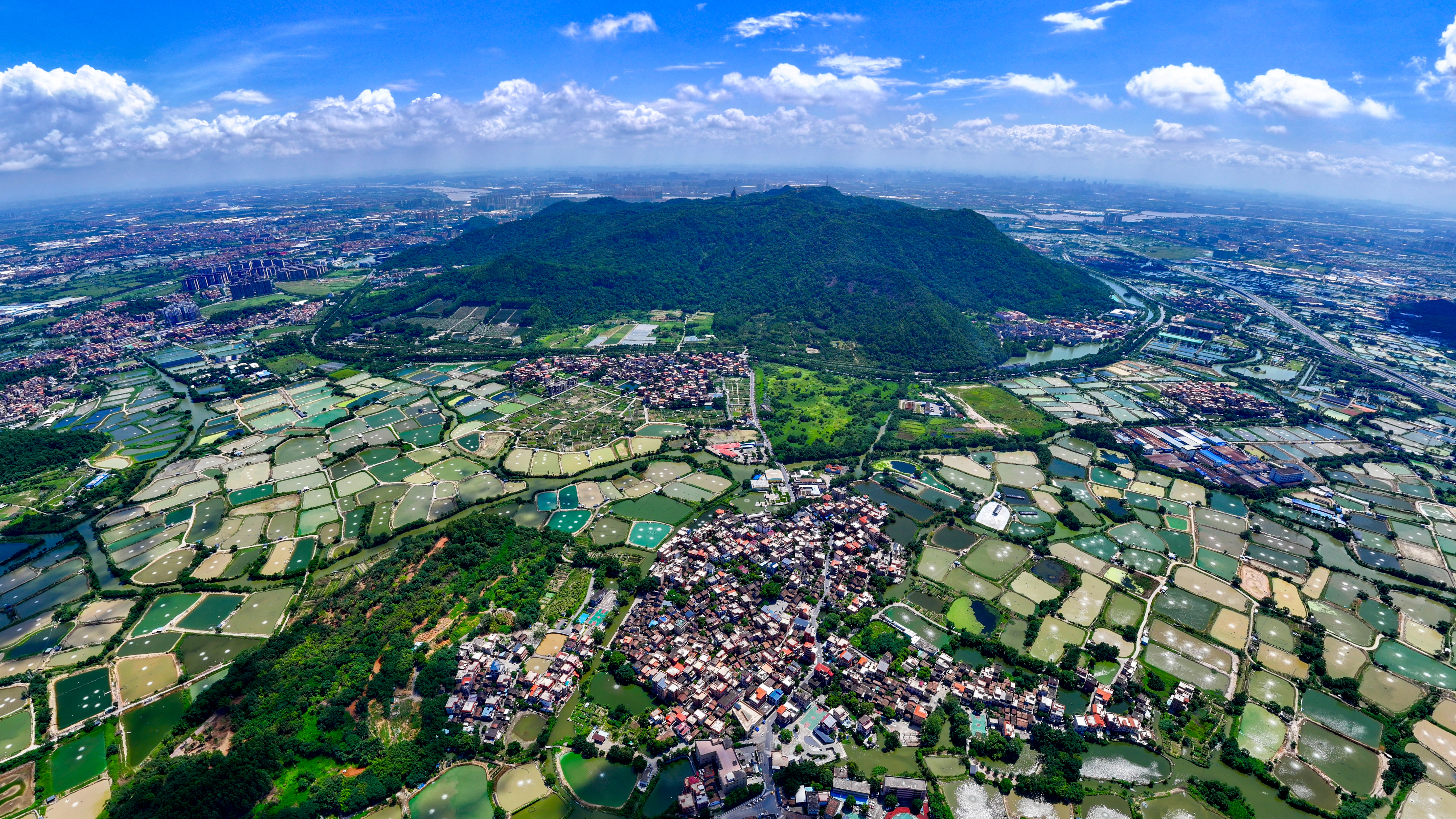 西樵作为广东省首批现代化建设中心镇，在“桑湾田园”片区中发挥辐射带动作用。&nbsp; 西樵供图