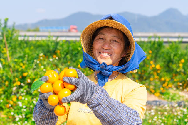 果农丰收的喜悦。 果农丰收的喜悦。