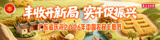 丰收节banner 南方农村报 李嘉镓 制图