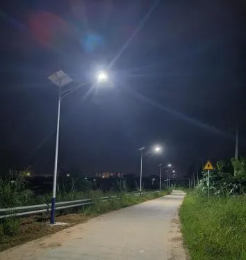 35盏灯既保证夜间出行，也为鱼塘“留足生长空间”。