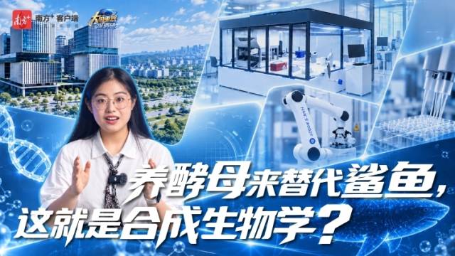 养酵母来替代鲨鱼，这就是合成生物学？丨大国重器深调研