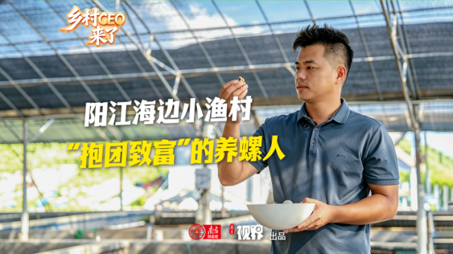 阳江海边小渔村，“抱团致富”的养螺人