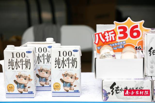“乳小初”系列水牛奶产品成最受关注的单品之一,活动现场举行了系列新品“壮典”的首发推介。 “乳小初”系列水牛奶产品成最受关注的单品之一,活动现场举行了系列新品“壮典”的首发推介。
