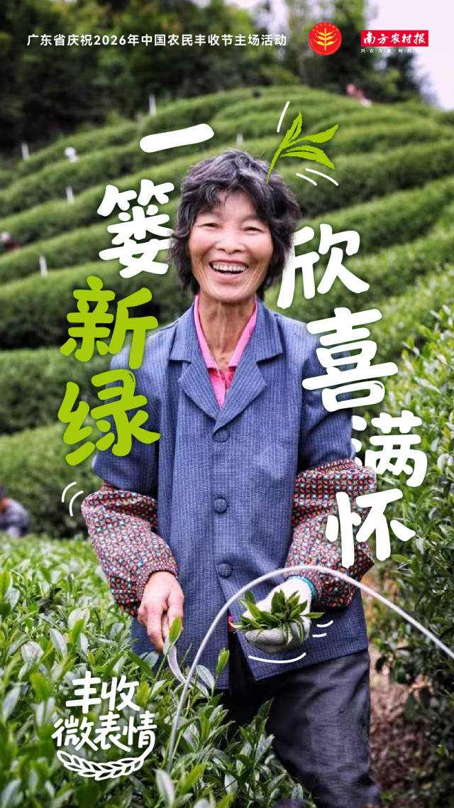 丰收微表情