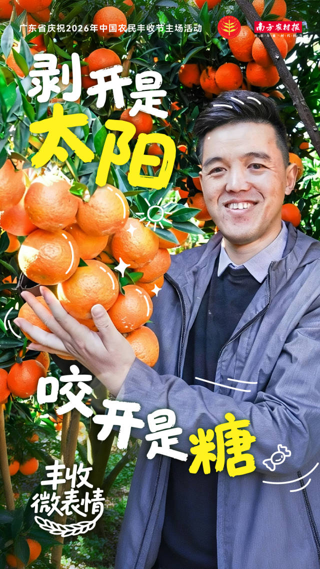 丰收微表情
