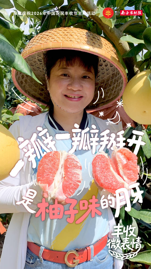 丰收微表情