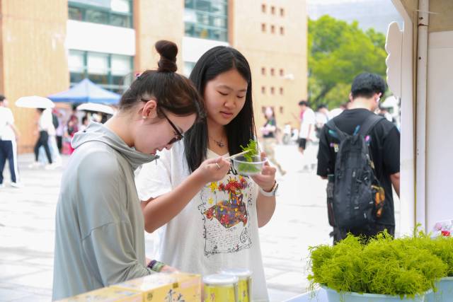 龙州龙须菜无需过度烹饪，清炒后口感清爽，学生品尝后赞不绝口。