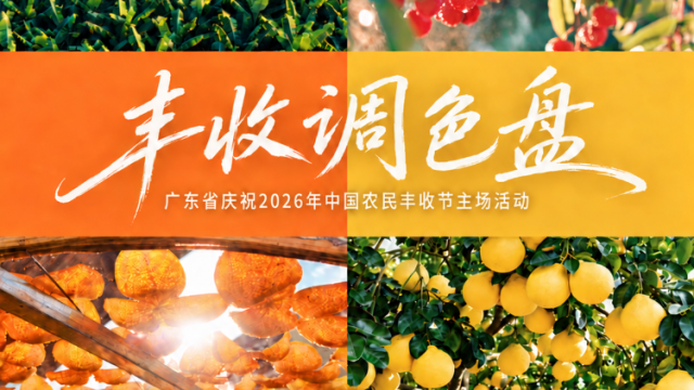 丰收调色盘