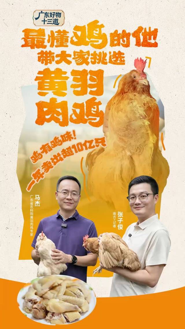 黄羽肉鸡出栏量全国第一,超懂鸡的他带你“吃鸡”|广东好物十三邀