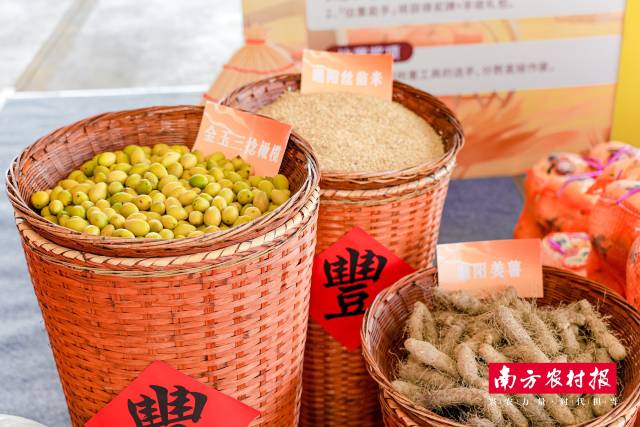 潮阳特色农产品
