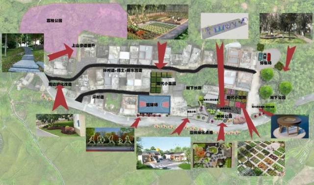 民安村建设规划图。受访者供图 民安村建设规划图。受访者供图