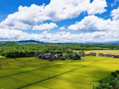第十七届“中国统计开放日之广东”活动在江门举办