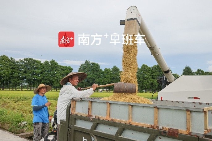 南方+早班车 | 来广东，看丰收的底气
