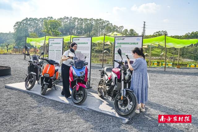 游客打卡江门机车。 游客打卡江门机车。
