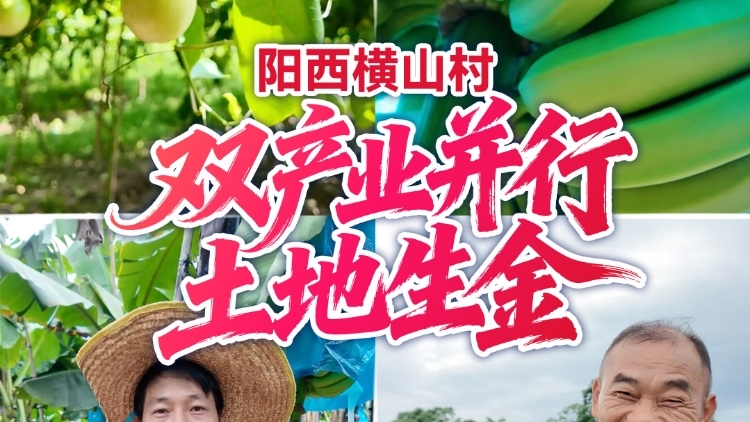 阳西横山村：双产业并行，土地生金！