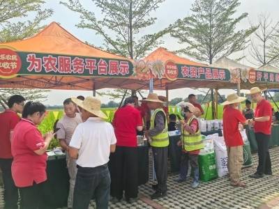 开平市供销系统举行庆祝2026年中国农民丰收节主题活动