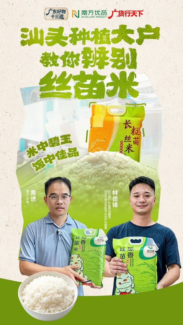 斩获国家级最高荣誉，潮阳丝苗米如何香飘全国？｜广东好物十三邀