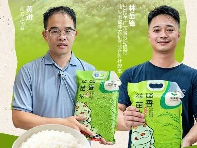 斩获国家级最高荣誉，潮阳丝苗米如何香飘全国？｜广东好物十三邀