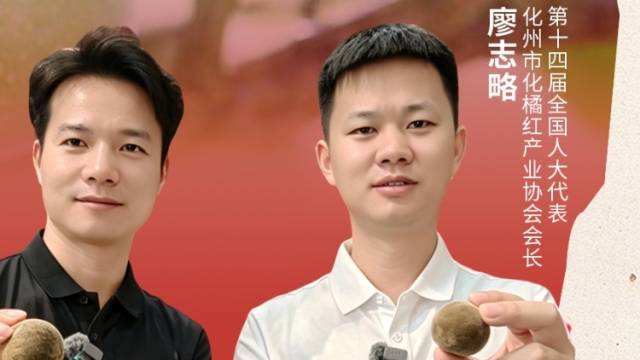 从深山药材到百亿产业，这颗化橘红有什么魔力?｜广东好物十三邀