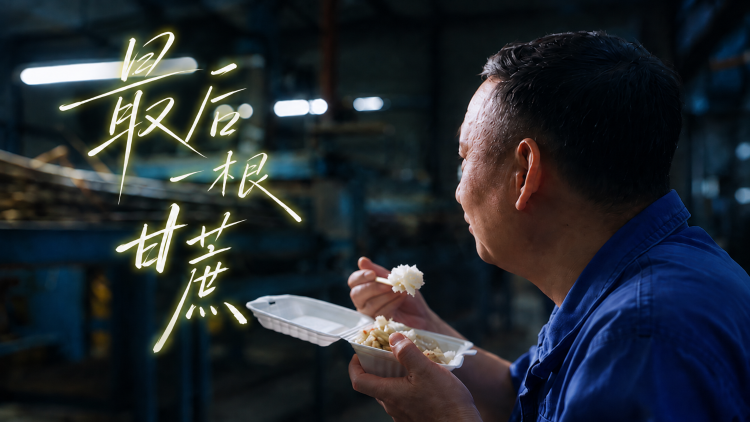 最后一根甘蔗