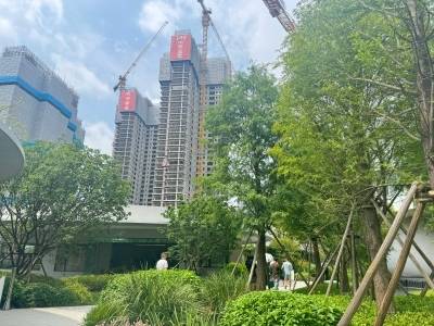 广州42盘透视：现房与贴息双重变局下的突围战