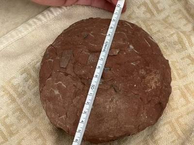 时隔30年，河源双下村再次发现恐龙蛋化石