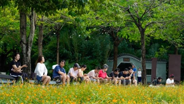 凉风起、花海开，海珠湖公园成广州国庆假期热门打卡地
