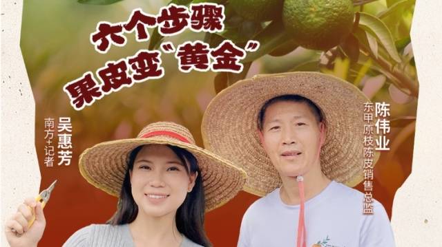 推“陈”出新，看江门新会如何点“柑”成金｜广东好物十三邀