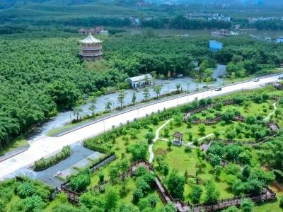 从250亿到500亿，小竹子如何长成大产业？