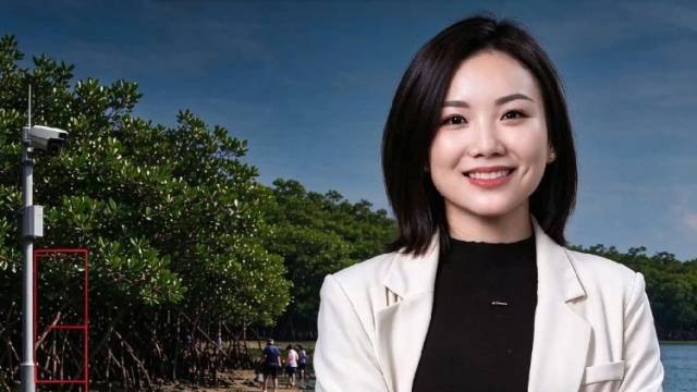 兴农评 | 红树林成“赶海乐园”，监管不能“打游击”