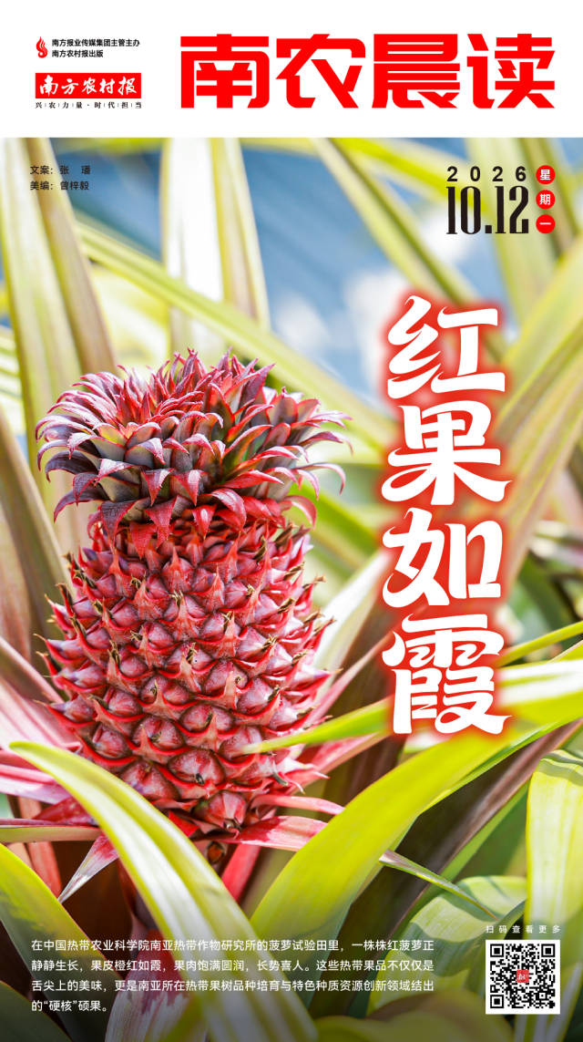 微信图片_20261011203922_3093_145  南方农村报 吴俊麒 制图