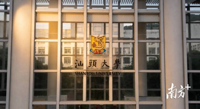  受访者 供图