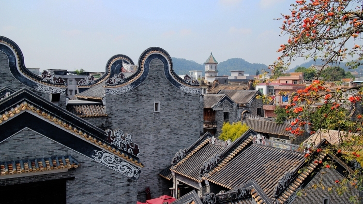 两位新任市委书记密集调研丨市委书记抓乡村振兴（2026.09.28-10.11）