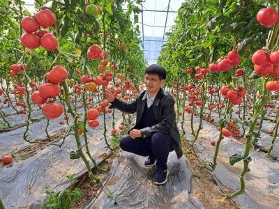 “蔬菜卫士”李宝聚：以屏幕方寸，播无垠田野丨了不起的新农人