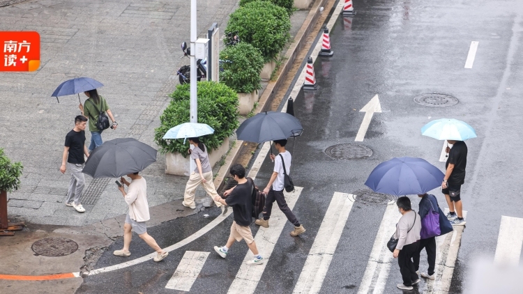广东人或迎史上最强“暖冬”？别被骗了！
