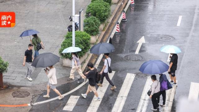 广东人或迎史上最强“暖冬”？别被骗了！