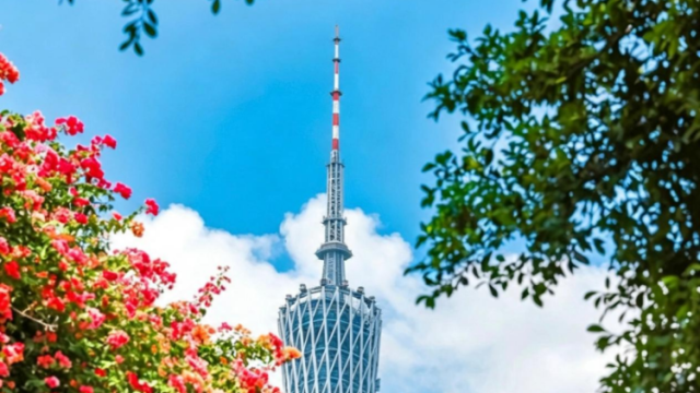 再拿全国第一！人才在广州，不“烧心”