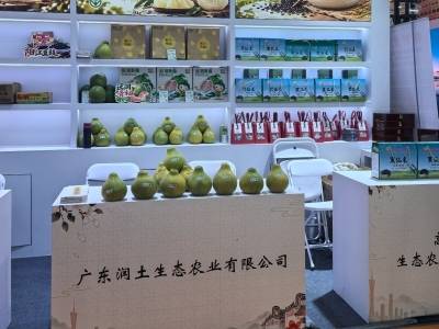 绿色赋能，金柚飘香！梅州金柚亮相第二十四届中国绿色食品博览会