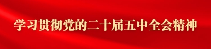 学习贯彻党的二十届五中全会精神