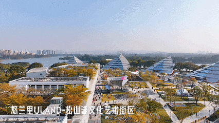 南方+ 何绮莹 制图